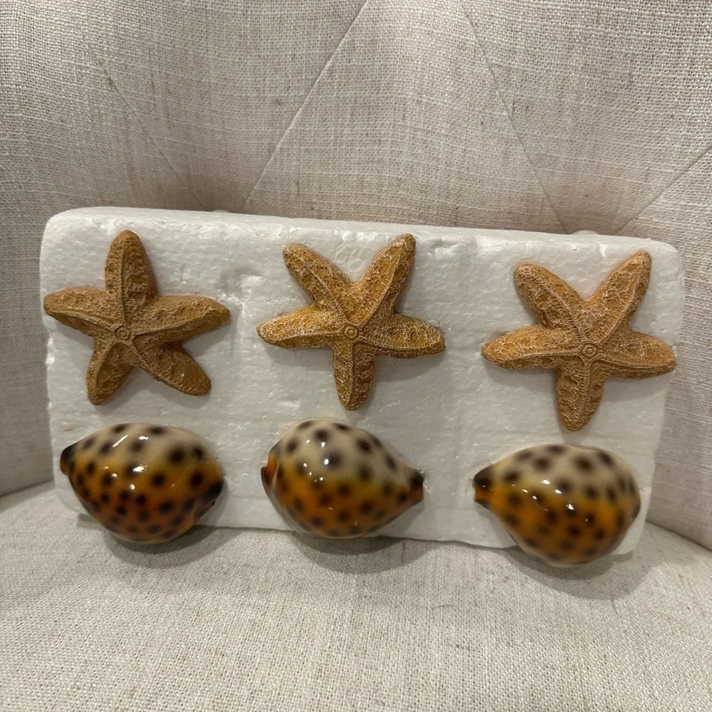 unbranded sea shell